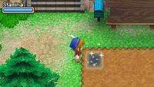 Imagen 5 de Harvest Moon: Grand Bazaar