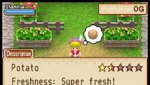Imagen 6 de Harvest Moon: Grand Bazaar