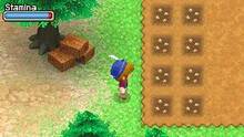 Imagen 7 de Harvest Moon: Grand Bazaar