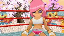 Imagen 3 de Animal Boxing DSiW