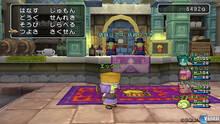 Imagen 178 de Dragon Quest X