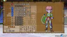 Imagen 252 de Dragon Quest X