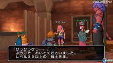 Imagen 343 de Dragon Quest X