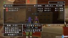 Imagen 366 de Dragon Quest X