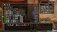 Imagen 358 de Dragon Quest X