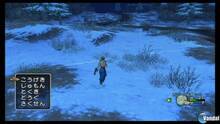 Imagen 404 de Dragon Quest X