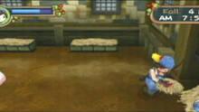 Imagen 31 de Harvest Moon: Hero of Leaf Valley
