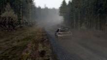 Imagen 43 de World Rally Championship
