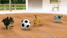 Imagen 16 de Nintendogs