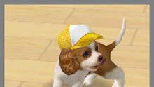 Imagen 17 de Nintendogs