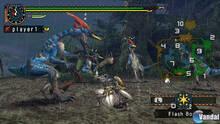 Imagen 5 de Monster Hunter 2