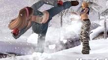 Imagen 102 de Dead or Alive 3