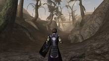 Imagen 5 de The Elder Scrolls III: Morrowind