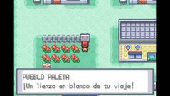 Imagen 6