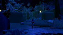 Imagen 9