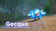 Imagen 12