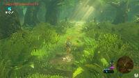 Imagen de The Legend of Zelda: Breath of the Wild - Nintendo Switch 2 Edition