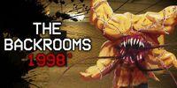 Imagen de The Backrooms 1998
