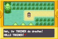 Imagen de Pok�mon Blattgr�ne Edition