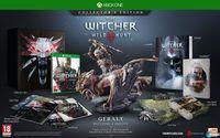 Imagen  de The Witcher 3: Wild Hunt para Ordenador
