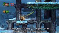 Imagen de Donkey Kong Country: Tropical Freeze