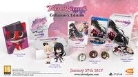 Imagen  de Tales of Berseria para PlayStation 4