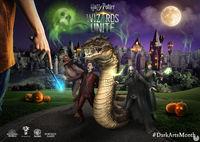 Imagen de Harry Potter: Wizards Unite