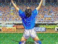 Imagen de NeoGeo Super Sidekicks 2