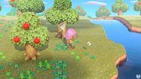 Imagen de Animal Crossing: New Horizons