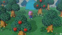 Imagen de Animal Crossing: New Horizons