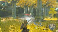Imagen de The Legend of Zelda: Tears of the Kingdom