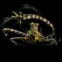 Imagen de Hyrule Warriors: La era del cataclismo